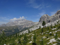 brenta