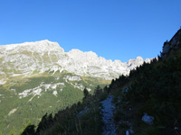 brenta