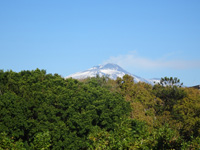 catania