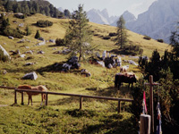 dolomiten-prags