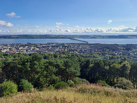 dundee