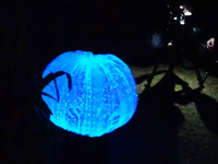 luminale