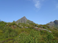 lofoten