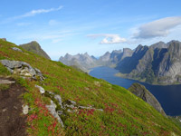 lofoten