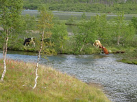 norwegen