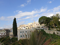 noto