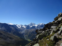 ortler