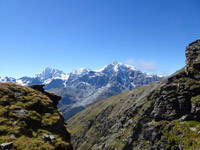 ortler