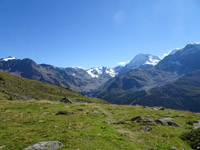 ortler