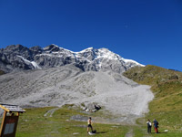 ortler