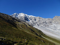 ortler