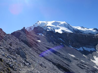 ortler