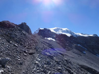 ortler