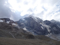 ortler