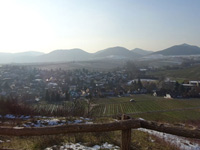 Pfalz