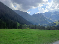 tauern