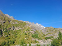 tauern