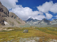 tauern