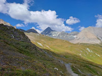 tauern