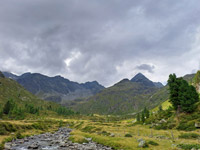 tauern