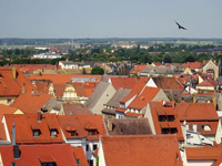 torgau