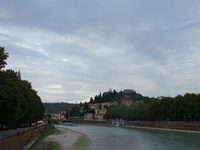 verona