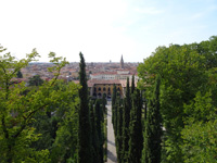 verona