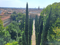 verona