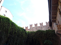 verona