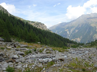 Walliser Haute Route