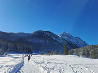 mittenwald