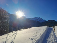 mittenwald