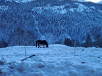 mittenwald